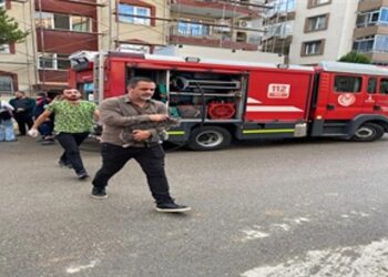 Mazgala düşen kayıp köpek ve yangında mahsur kalan kediler itfaiyenin çabasıyla kurtarıldı