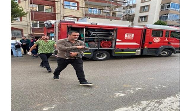 Mazgala düşen kayıp köpek ve yangında mahsur kalan kediler itfaiyenin çabasıyla kurtarıldı