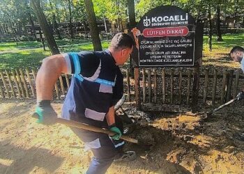 Ormanya’da oyun gruplarına periyodik bakım