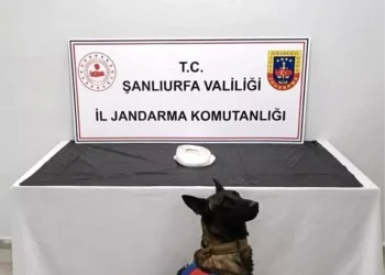 Şanlıurfa’da Uyuşturucu Operasyonu: 2 Gözaltı