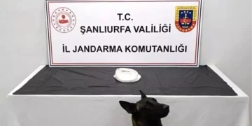 Şanlıurfa’da Uyuşturucu Operasyonu: 2 Gözaltı