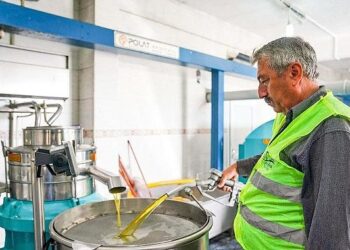 Seferihisar Belediyesi’nden örnek proje; Çocukların topladığı zeytinler sofralara bereket olacak