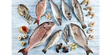 Su ürünleri ve hayvansal mamuller ihracatının yüzde 47’si Ege Bölgesi’nden yapıldı