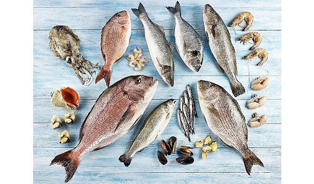 Su ürünleri ve hayvansal mamuller ihracatının yüzde 47’si Ege Bölgesi’nden yapıldı