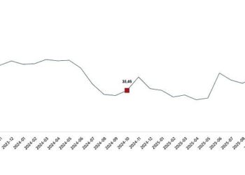 Tarım Ürünleri Üretici Fiyat Endeksi, Ekim 2025