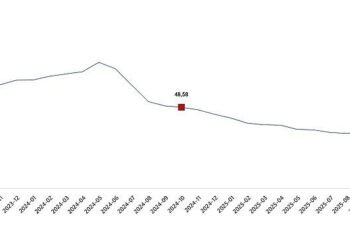 Tüketici Fiyat Endeksi, Ekim 2025