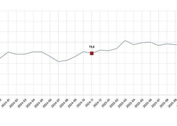 Tüketici Güven Endeksi, Kasım 2025