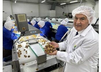 Türk organik sektörü, Çin’le iş birliklerini artırmak istiyor