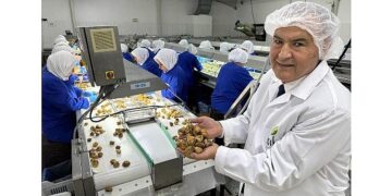 Türk organik sektörü, Çin’le iş birliklerini artırmak istiyor