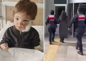 İki kardeşi yaralayan pitbullun sahibinden pişkin savunma