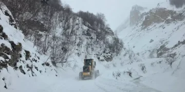Artvin’de çığ düştü: 3 çoban çığ altında kaldı