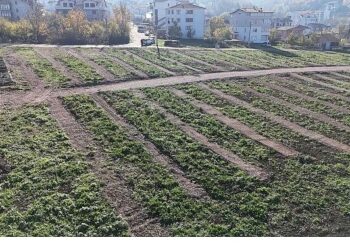 Büyükşehir’den Gölcük’e yeni mezarlık alanları