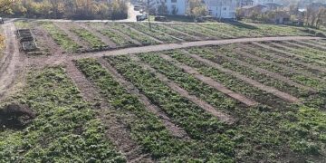 Büyükşehir’den Gölcük’e yeni mezarlık alanları