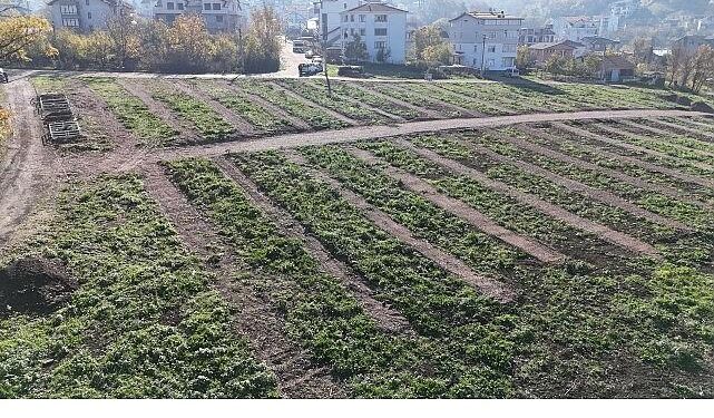 Büyükşehir’den Gölcük’e yeni mezarlık alanları