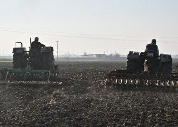 Büyükşehir’in Tohumları Sarıçalı Mahallesi’nin Merasını Yeşertecek