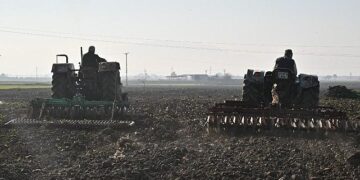 Büyükşehir’in Tohumları Sarıçalı Mahallesi’nin Merasını Yeşertecek