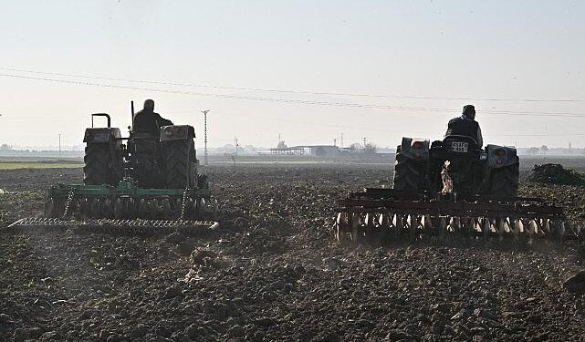 Büyükşehir’in Tohumları Sarıçalı Mahallesi’nin Merasını Yeşertecek