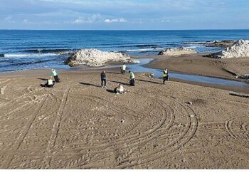 Büyükşehir’le temiz kıyılar, güçlü yarınlar