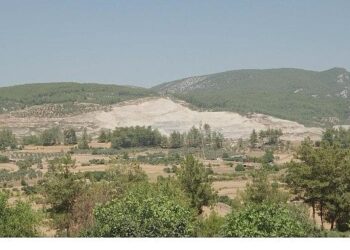 Doğa İçin Sorumluluk Hepimizde: TEMA Vakfı 2025’in Çevre Olaylarını Değerlendirdi