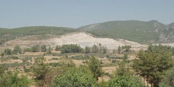 Doğa İçin Sorumluluk Hepimizde: TEMA Vakfı 2025’in Çevre Olaylarını Değerlendirdi