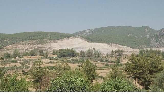 Doğa İçin Sorumluluk Hepimizde: TEMA Vakfı 2025’in Çevre Olaylarını Değerlendirdi