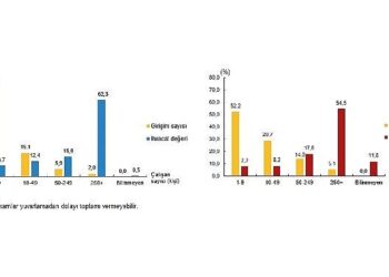 Girişim Özelliklerine Göre Uluslararası Hizmet Ticareti İstatistikleri, 2023
