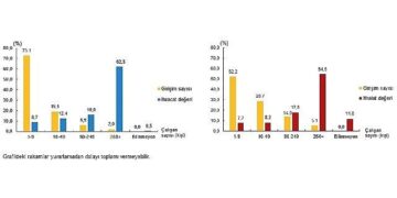 Girişim Özelliklerine Göre Uluslararası Hizmet Ticareti İstatistikleri, 2023