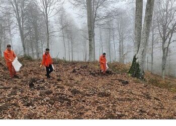 Harmancık’ta yanan ormanlara tohumlar serpiliyor