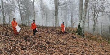 Harmancık’ta yanan ormanlara tohumlar serpiliyor