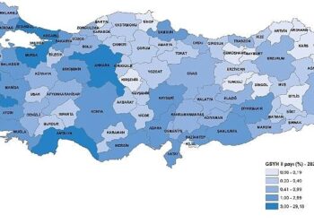 İl Bazında Gayrisafi Yurt İçi Hasıla, 2024