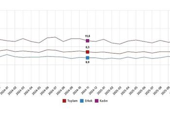 İşgücü İstatistikleri, Kasım 2025