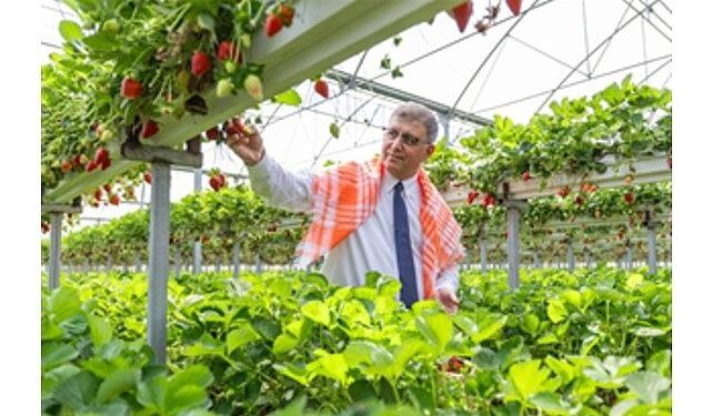 İzmir Büyükşehir Belediyesi üreticiye desteğini sürdürdü