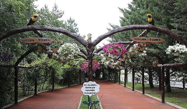 Keçiören’de Modern Serada Üretilen Çiçekler İlçeyi Süslüyor