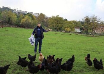 Kırsalda geçim kapısı güçleniyor, istihdam artıyor