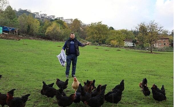 Kırsalda geçim kapısı güçleniyor, istihdam artıyor