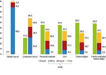 Küçük ve Orta Büyüklükteki Girişim İstatistikleri, 2024