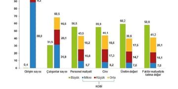 Küçük ve Orta Büyüklükteki Girişim İstatistikleri, 2024