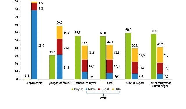 Küçük ve Orta Büyüklükteki Girişim İstatistikleri, 2024