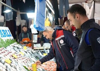 Maltepe’de balık denetimi