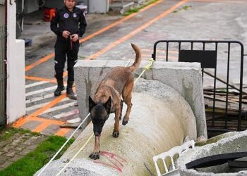 Maltepe’nin Zeyna’sı artık ekibin bir parçası