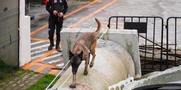 Maltepe’nin Zeyna’sı artık ekibin bir parçası