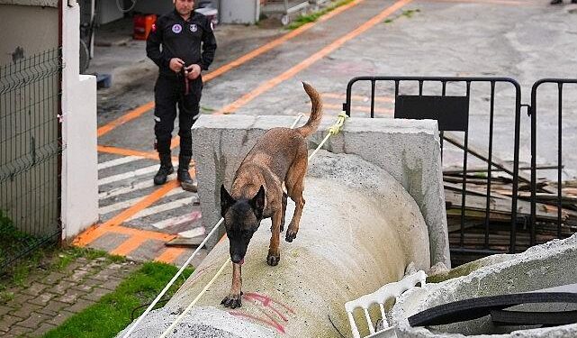 Maltepe’nin Zeyna’sı artık ekibin bir parçası