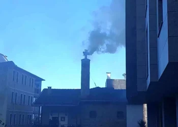 Rize’de baca yangını paniğe neden oldu