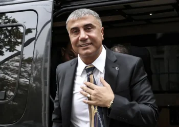 Sedat Peker, TV kanalı mı aldı? Avukatından yanıt var