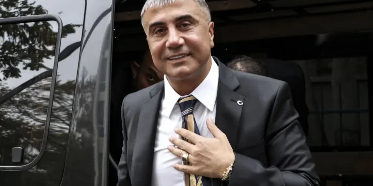 Sedat Peker, TV kanalı mı aldı? Avukatından yanıt var