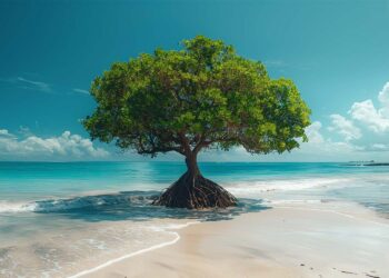 Soğuk Havalara Karşı Stil Sahibi Çözüm: Erkek Mont Seçim Rehberi