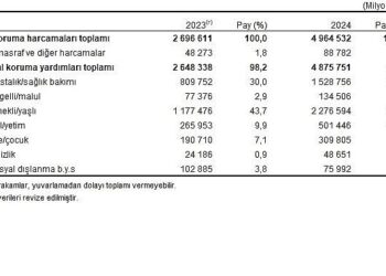 Sosyal Koruma İstatistikleri, 2024