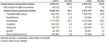 Sosyal Koruma İstatistikleri, 2024