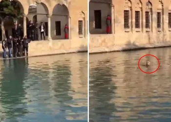 Balıklıgöl’e atlayan genç! O esnada dudaklarından tek cümle döküldü