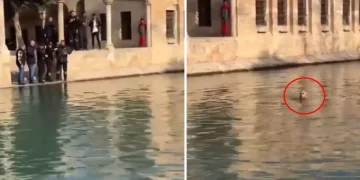 Balıklıgöl’e atlayan genç! O esnada dudaklarından tek cümle döküldü